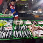 galunggong, round scad