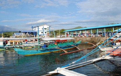 Fishing ban sought in mercury-contaminated bay in Palawan - PTV News