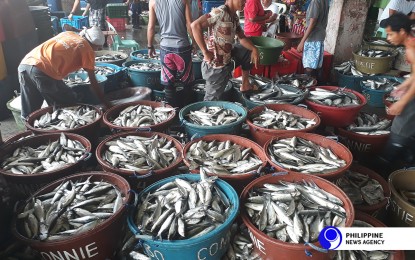 DOST study detects microplastics in ‘bangus’