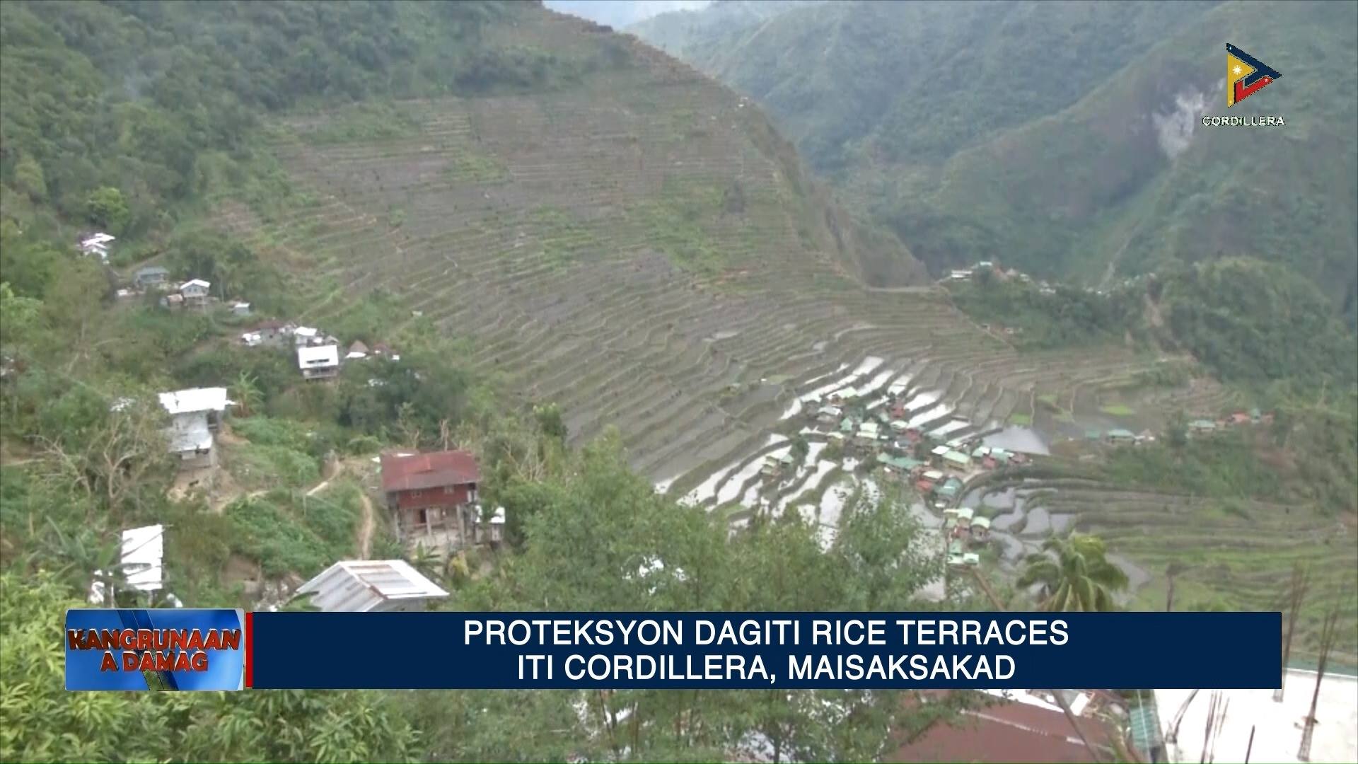 DAMAG DITOY REHIYON CORDILLERA: Proteksyon dagiti rice terraces iti ...