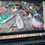 Medical waste along the shore