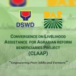 dar-dswd-curate