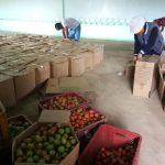 104008333_192607268773340_7684661905592554972_n