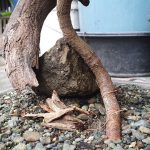 123329656_3939396496090250_5872534116468956232_n