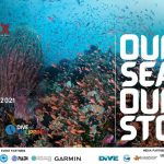 DOT gearing towards diving industry recovery amid new normal