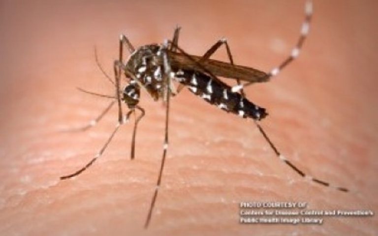 Public warned vs rise of dengue, leptospirosis this rainy season