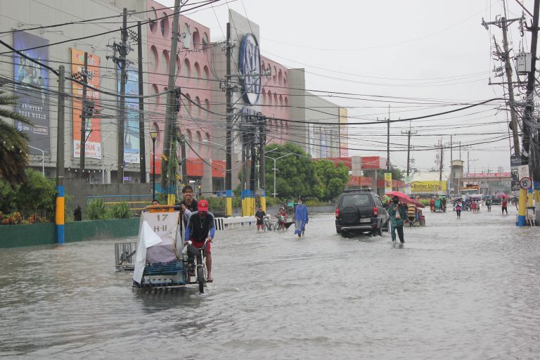 631 leptospirosis cases recorded from January to May
