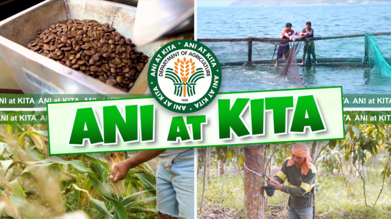Ani at Kita: DA helps local pickle business survive pandemic