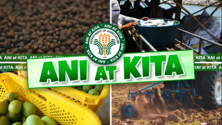 Ani at Kita: Consumer protection gets boost with ‘Bantay Presyo’ task force