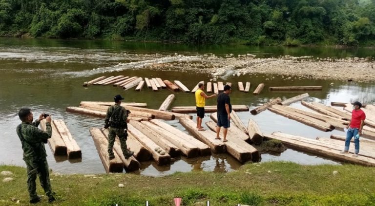DENR chief: Environmental law enforcement still a challenge, rangers murdered