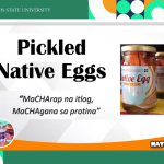 Pickled native egg product pitched by the Mariano Marcos State University (MMSU)
