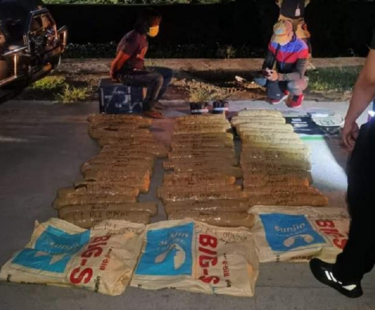 ₱6-M worth of dried marijuana seized in Taguig