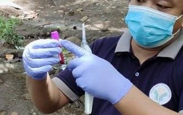 ASF hits Davao Occidental town