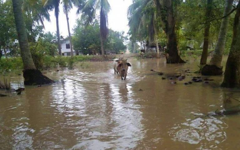 NoCot disaster workers distribute aid to over 21-K flood victims