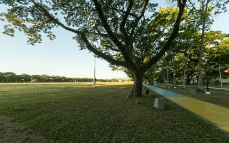 Clark to reopen parks, public places on Sept. 16
