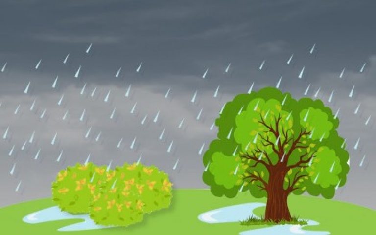 Fair weather, isolated rains to prevail across PH