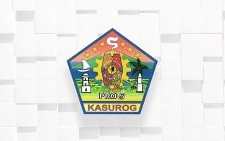 Four suspects arrested in multiple drug stings in CamSur