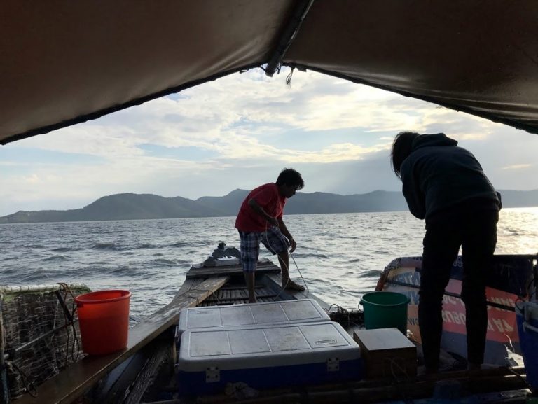 Center for Lakes Sustainable Development to be launched in Laguna