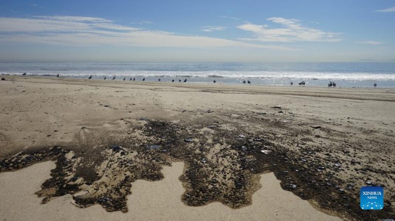 Massive oil spill off Southern California coast a ‘potential ecological disaster,’ official warns