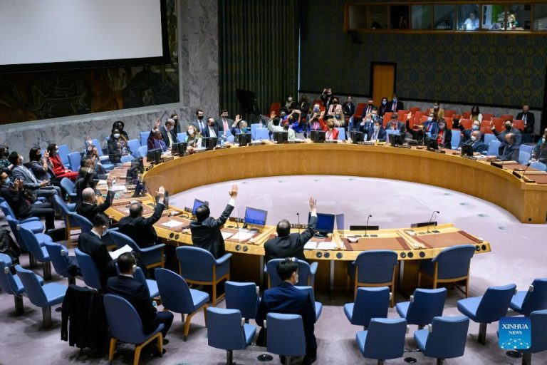 UN Security Council adopts resolution on protection of education in armed conflict