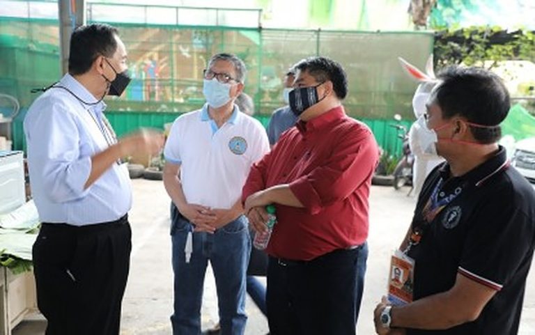 DA sees rabbit industry as pork alternative