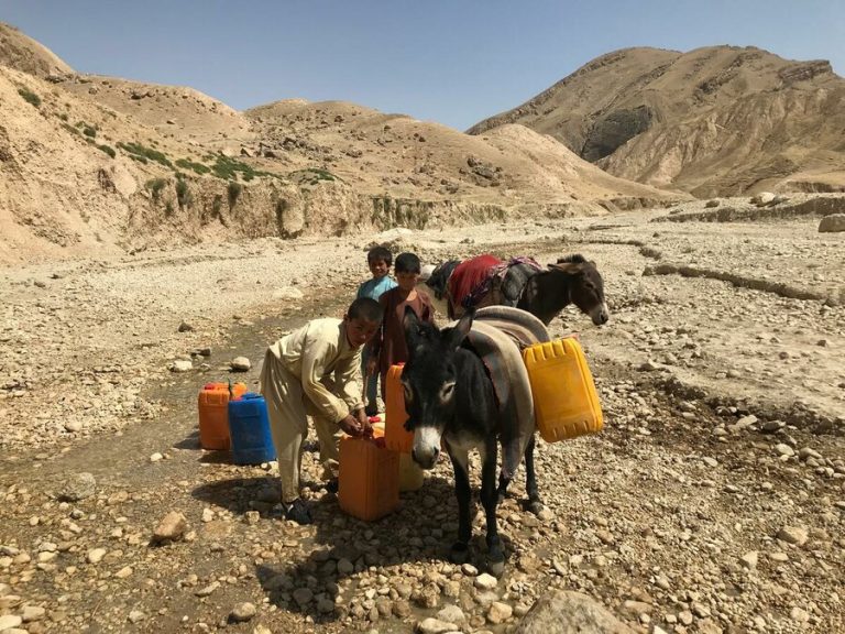 WFP distributes food for kids in Afghanistan to prevent malnutrition