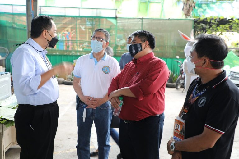 DA-BAI to support growing rabbit industry