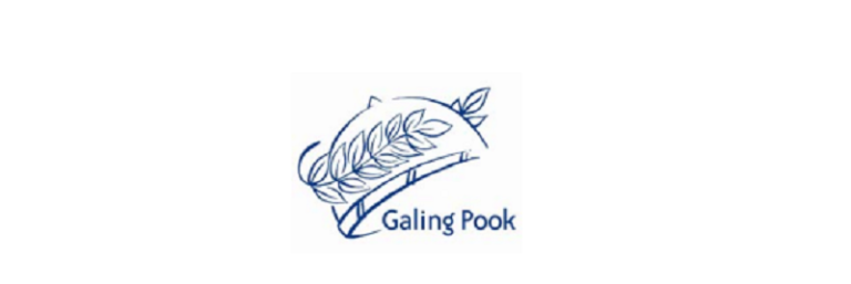 Select LGUs receive 2021 Galing Pook Award for outstanding leadership