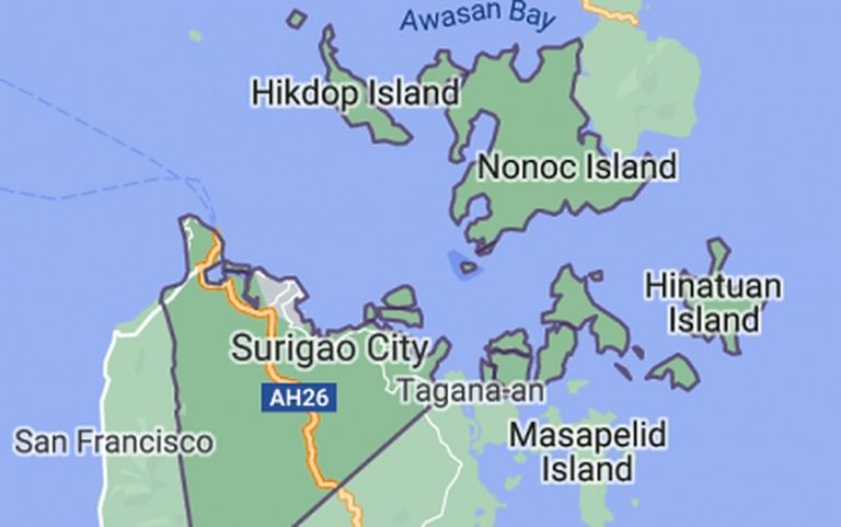 Davao carnapper falls in Surigao City