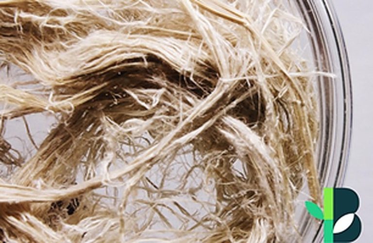 DOST-PTRI researchers develop greener bamboo textiles