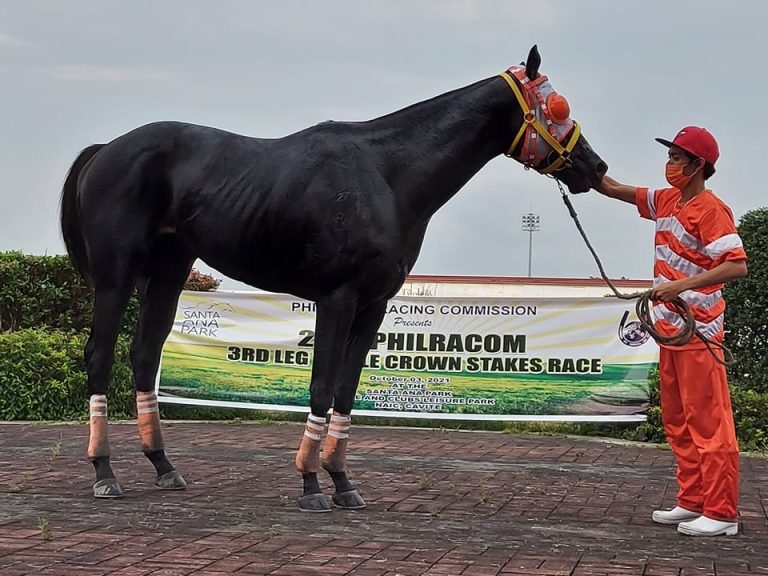 War Cannon (Brigand x Ivanavinalot) denied the favorite Nuclear Bomb the sweep of the 2021 Philracom Triple Crown Stakes series by winning the 3rd leg at Santa Ana Park in Naic, Cavite, on Sunday, Oct. 3, 2021. (PHOTO BY RIKA ALCASID)