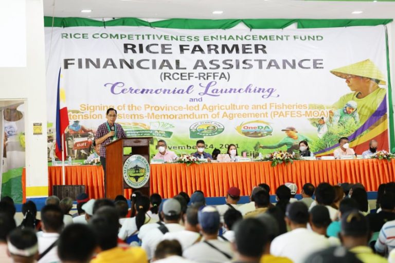 59-K rice farmers in Nueva Ecija to receive cash aid
