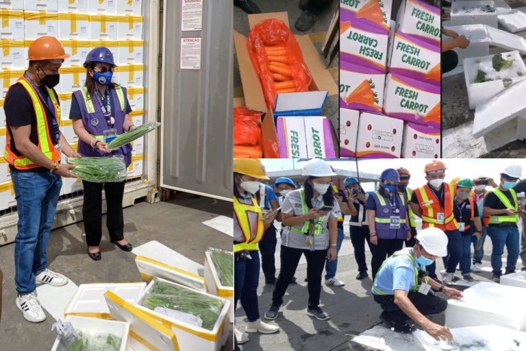 Joint DA-BOC operation seizes P70M-worth of assorted smuggled vegetables from China