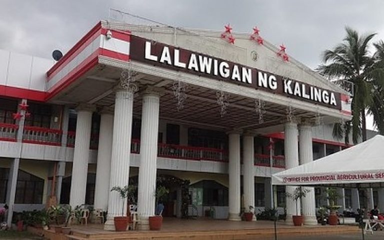 Suspected NPA rebel killed in encounter