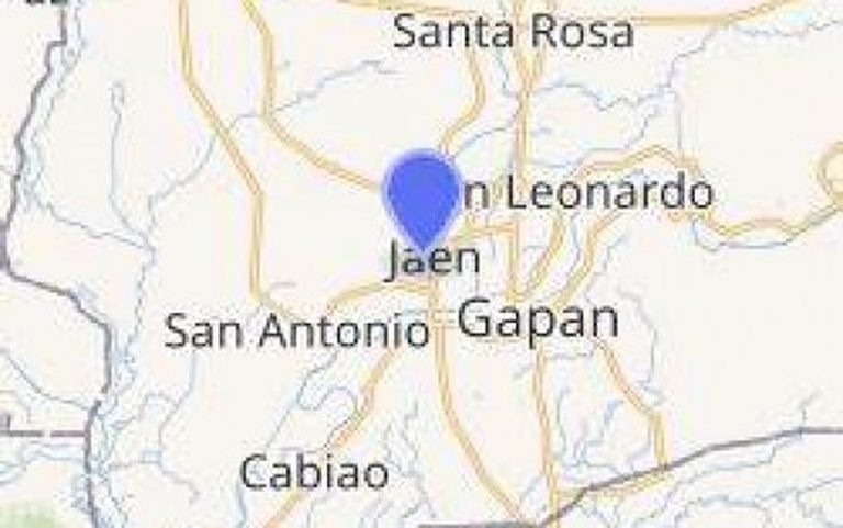 Task group formed to look into N. Ecija village chief’s slay