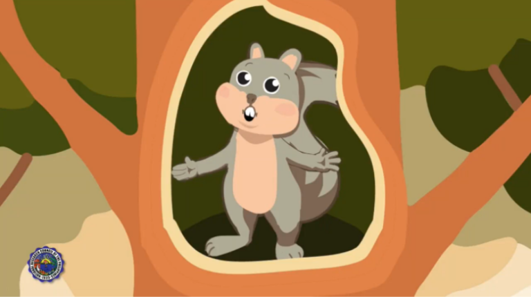 Animals in Animation: Siargao biodiversity banners Mid-NSTW celeb