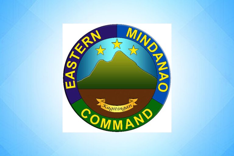 Eastmincom: NPA rebels arrested in Davao Oriental