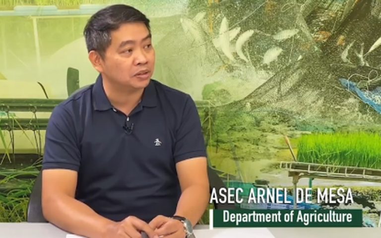 1.5-M rice farmers to get P5-K aid this year
