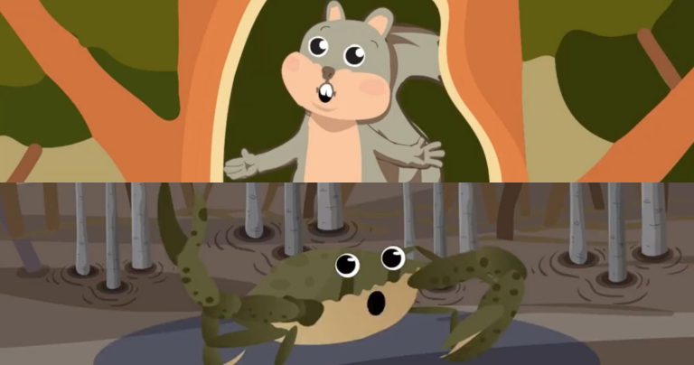 Science webinar for kids banners Siargao biodiversity with animated animals