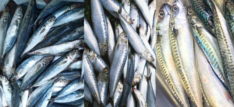 DA-BFAR assures enough fish supply in Holy Week