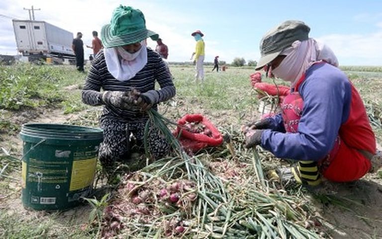 Lacson eyes more solar-powered irrigation systems for farmers