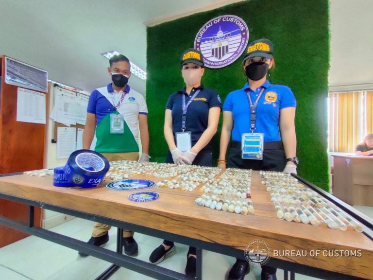 BOC-NAIA seize 396 harmful black ants declared as LEGO toys