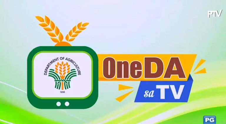 Gov’t support for corn farmers continues