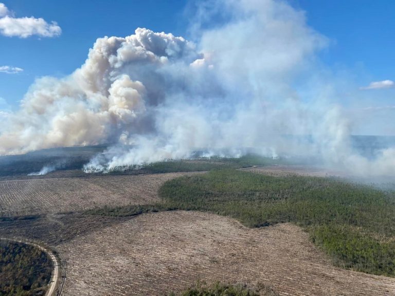 Wildfires grow in US state Florida, force evacuation of 600 homes