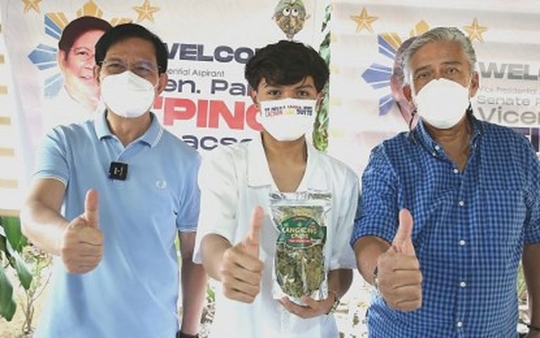 Lacson, Sotto vow more support for MSMEs