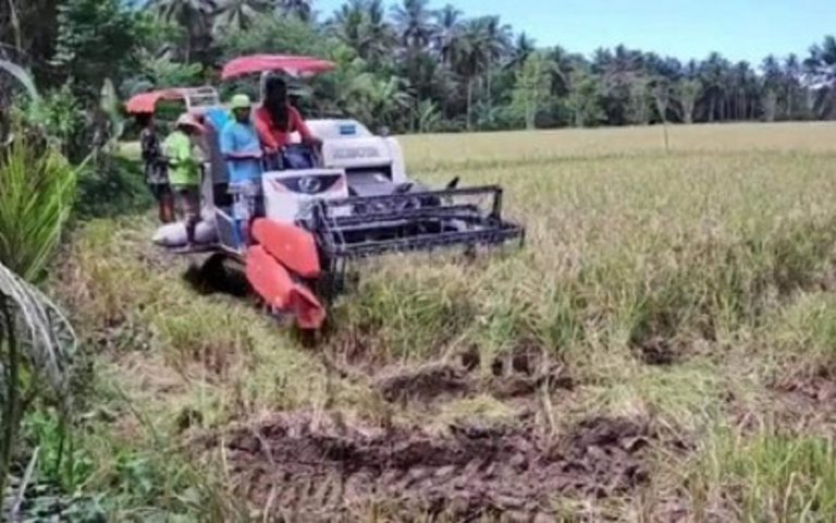 Almost 700-K rice farmers benefit from RCEF Mechanization Program