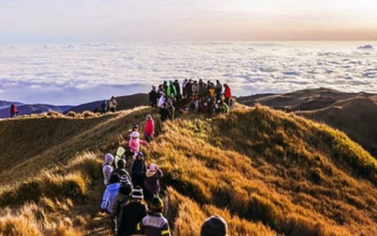 Mt. Pulag, 4 others declared protected areas