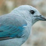 Optimized by JPEGmini 3.14.12.71901706 0x48539812