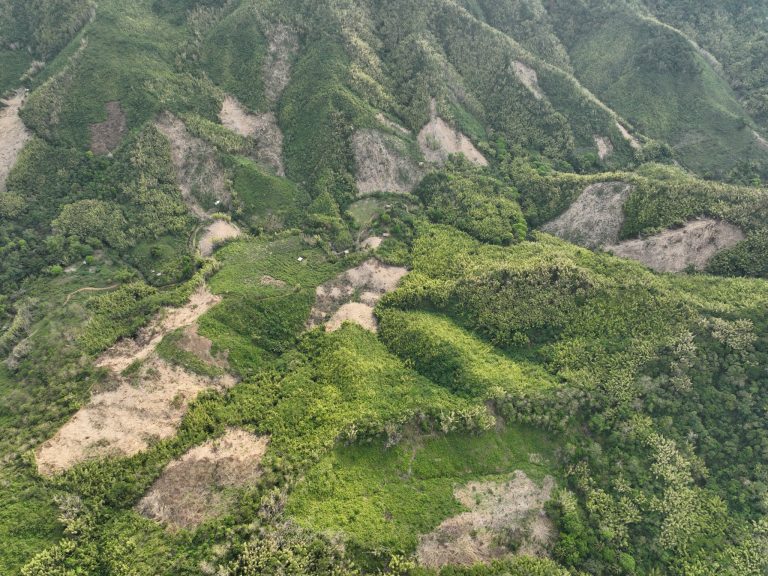 Mayor Vico, 12 others urge to cancel quarrying permits in Upper Marikina watershed
