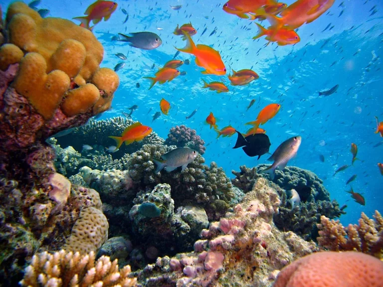 PH joins celebration of World Oceans Day